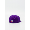 Czapka New Era NFL On Field Minnesota Vikings (miniatura)